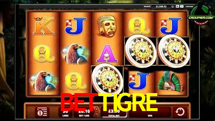 Jogos de mesa e apostas rápidas na BETTIGRE